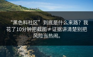 “黑色料社区”到底是什么来路？我花了10分钟把截图≠证据讲清楚别把风险当热闹。