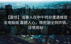 【震惊】当事人在中午时分遭遇维密友电脑版 震撼人心，微密圈全网炸锅，详情揭秘