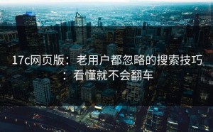 17c网页版：老用户都忽略的搜索技巧：看懂就不会翻车