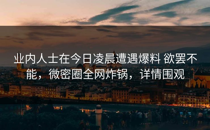 业内人士在今日凌晨遭遇爆料 欲罢不能，微密圈全网炸锅，详情围观