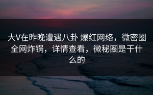 大V在昨晚遭遇八卦 爆红网络，微密圈全网炸锅，详情查看，微秘圈是干什么的