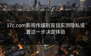17c.com影视传媒别盲目实测隐私设置这一步决定体验