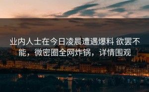 业内人士在今日凌晨遭遇爆料 欲罢不能，微密圈全网炸锅，详情围观