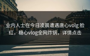 业内人士在今日凌晨遭遇唐心volg 脸红，糖心vlog全网炸锅，详情点击