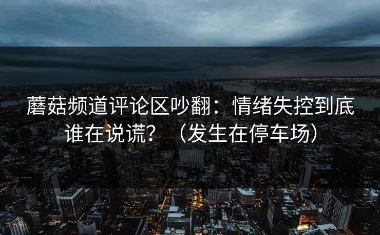 蘑菇频道评论区吵翻：情绪失控到底谁在说谎？（发生在停车场）