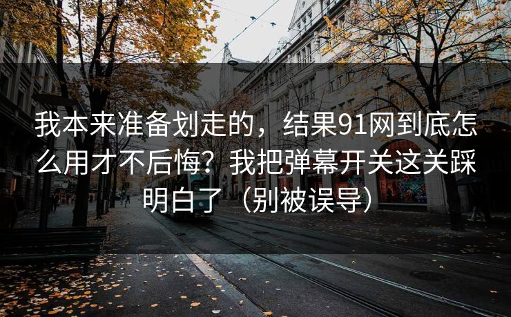 我本来准备划走的，结果91网到底怎么用才不后悔？我把弹幕开关这关踩明白了（别被误导）