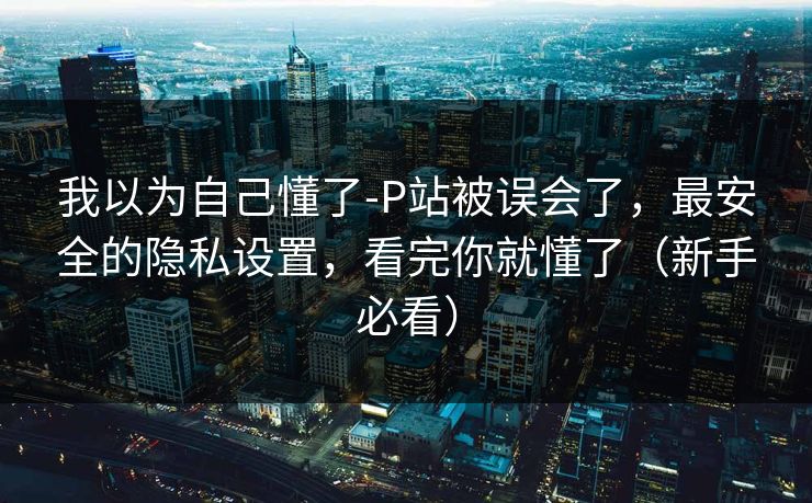 我以为自己懂了-P站被误会了,最安全的隐私设置,看完你就懂了(新手必看) 我以为自己懂了-P站被误会了,最安全的隐私设置,看完你就懂了(新手必看)